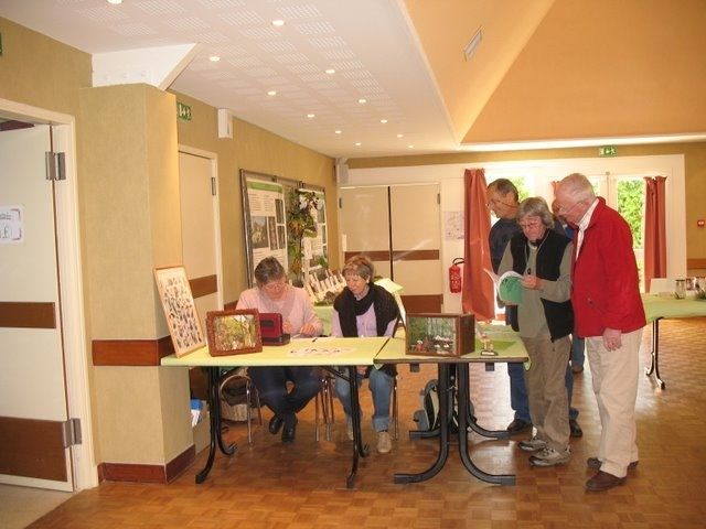 Expo champignons a St Leger 82